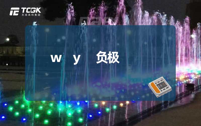 w y 负极